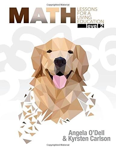 Math Lessons - Level 2 by Master Books