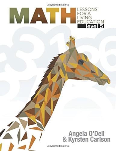 Math Lessons: Level 5 from Master Books