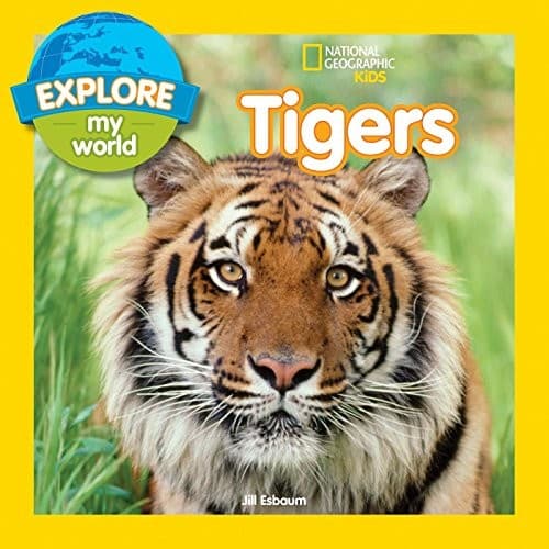 Explore My World: Tigers (Jill Esbaum, Paperback,