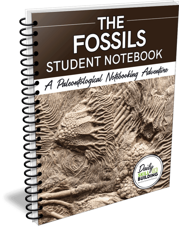 The Fossils Student Notebook