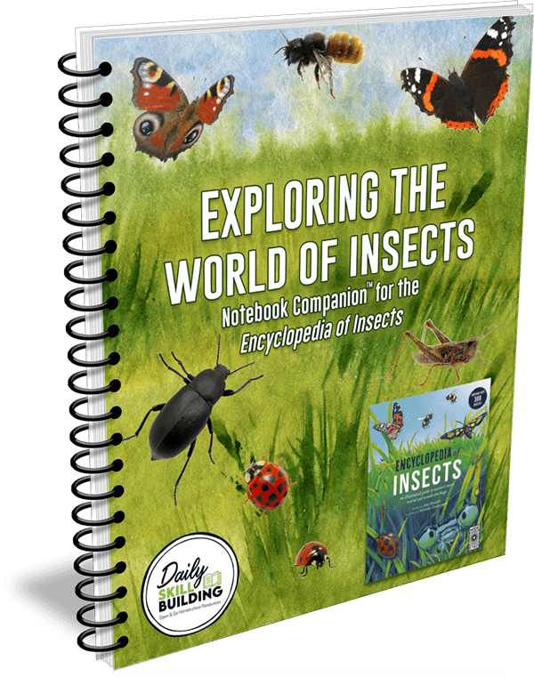 Exploring the World of Insects