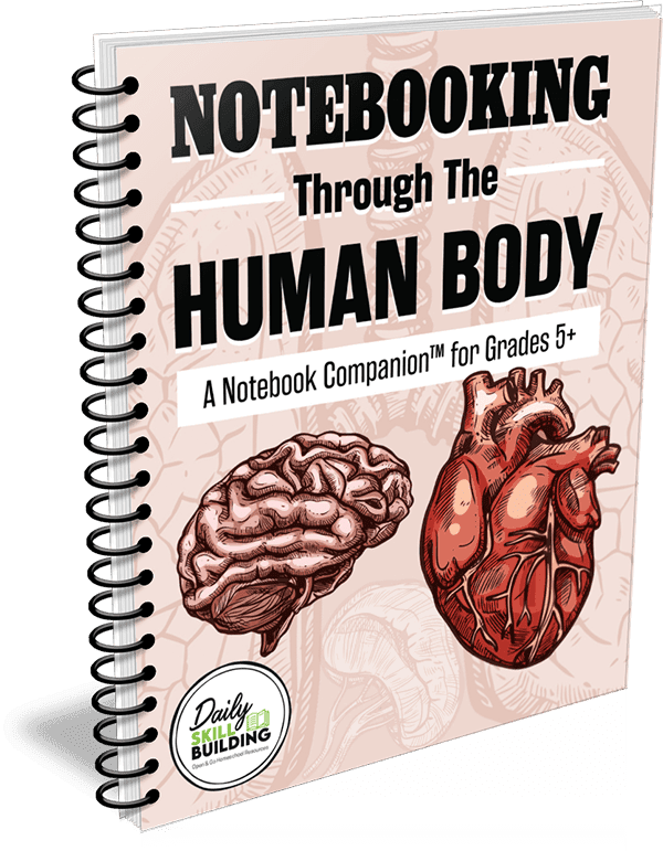 Notebooking Through the Human Body (Printed)