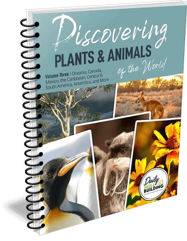 Discovering Plants and Animals Volume Three