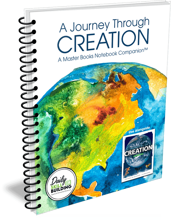 A Journey Through Creation