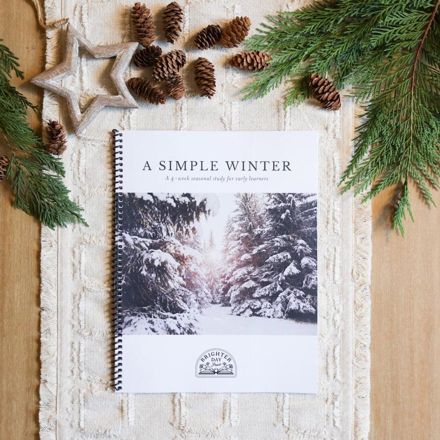 A Simple Winter
