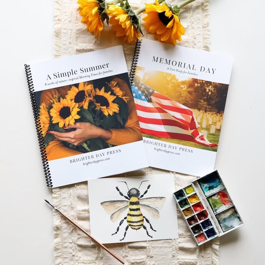 The Summer Bundle
