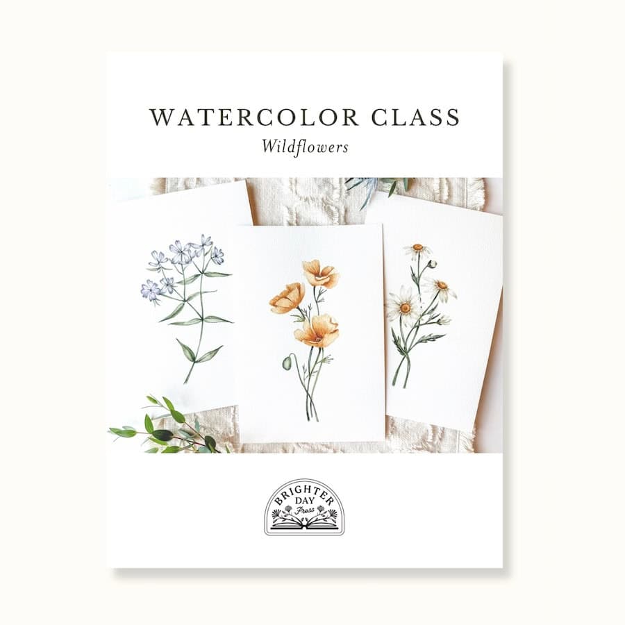 Watercolor Class: Wildflowers