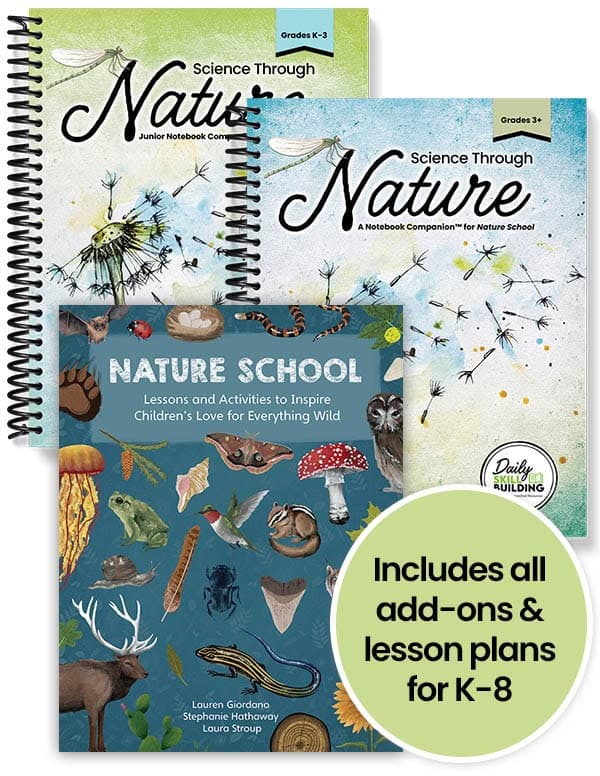 All-Inclusive Family Science Set for K-8 (Printed)