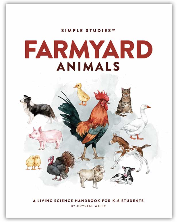 Simple Studies: Farmyard Animals