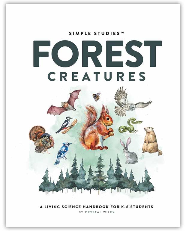 Simple Studies: Forest Creatures