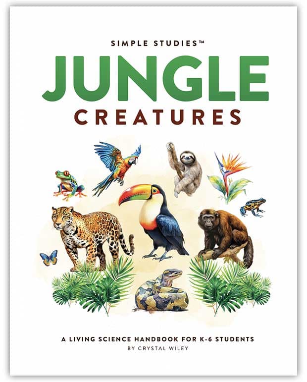 Simple Studies: Jungle Creatures