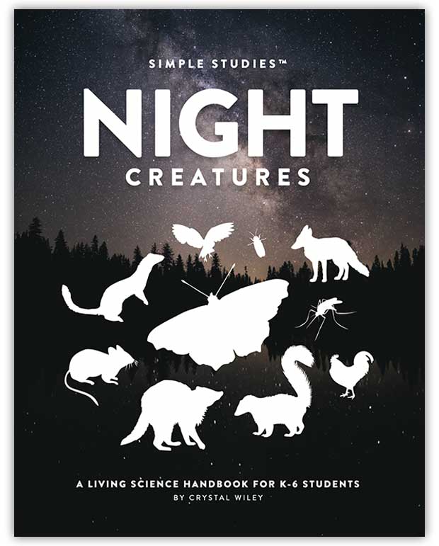 Simple Studies: Night Creatures