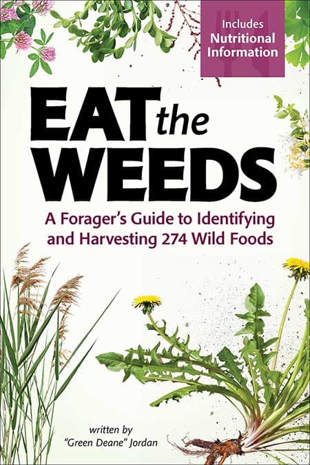 Eat The Weeds