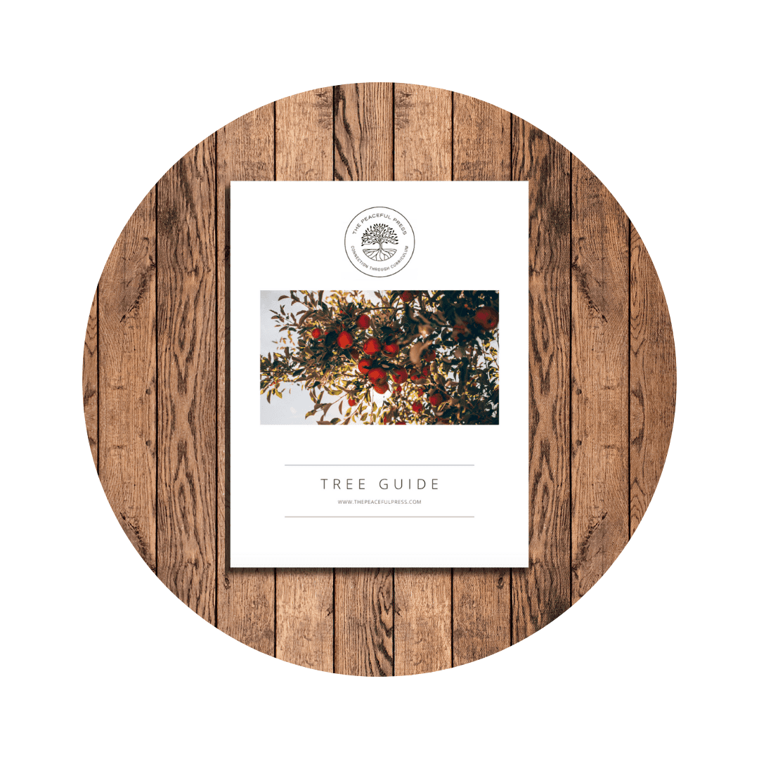 Nourishing Nature Kindergarten Tree Guide