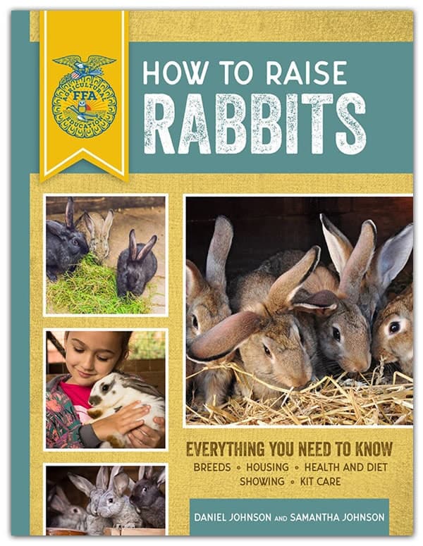 How To Raise Rabbits: Everything You Need To Know