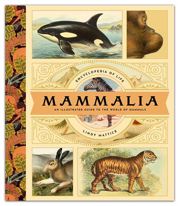 Mammalia—An Encyclopedia of Life