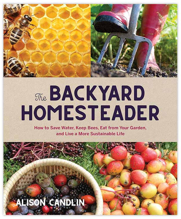 The Backyard Homesteader