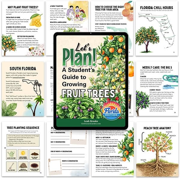 Let's Plan! Student's Guide to Growing Fruit Trees