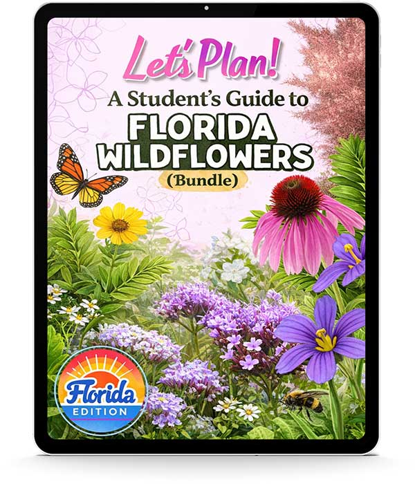 Let's Plan! Student's Guide to Florida Wildflowers