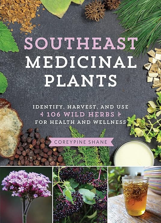 Southeast Medicinal Plants: Identify, Harvest, Use