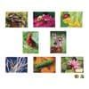 Excellerations Garden Creature Puzzles Set of