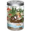 Grow and Glow Terrarium