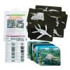 Roylco Discover Dinosaurs Picture Cards and X Ra