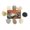 Fossil Stones Set of 8