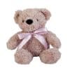 Excellerations Weighted Plush Bear 2lbs