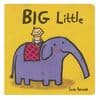Big Little Book