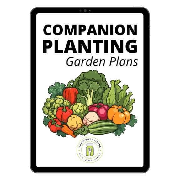 Companion Planting Garden Plans