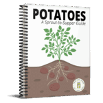 Potatoes: A Sprout-to-Supper Guide