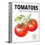 Tomatoes: A Sprout-to-Supper Guide