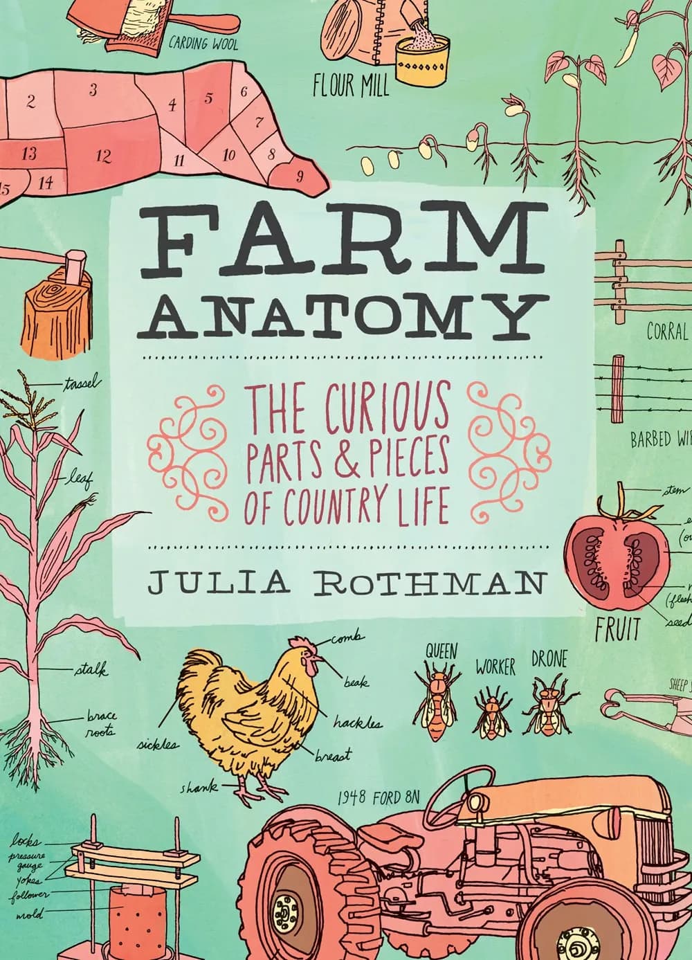 Farm Anatomy: The Curious Parts and Pieces