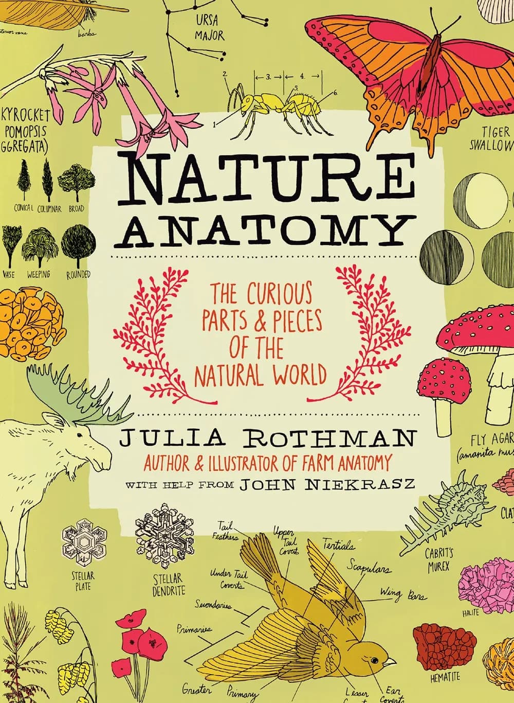 Nature Anatomy: The Curious Parts and Pieces