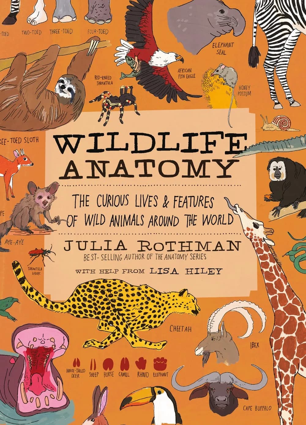 Wildlife Anatomy: The Curious Lives and Features