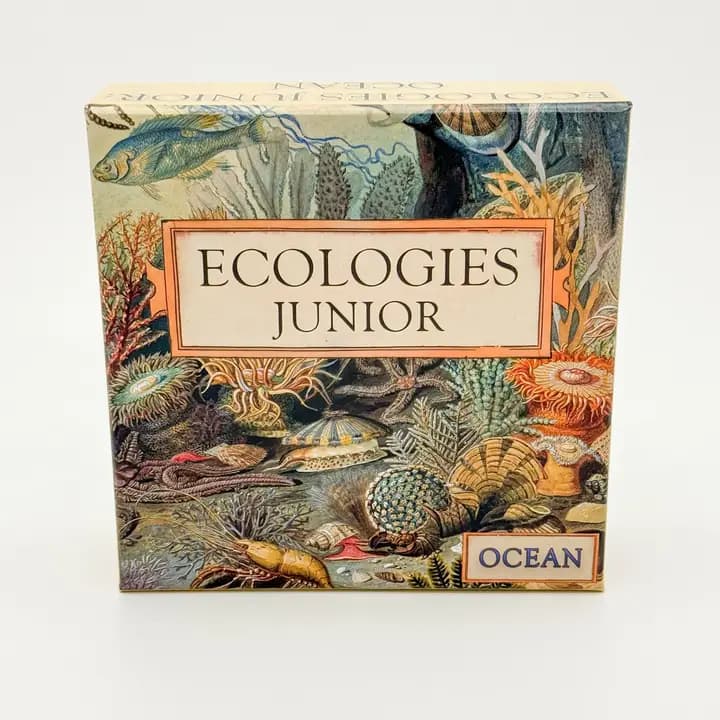 Ecologies Junior: Ocean