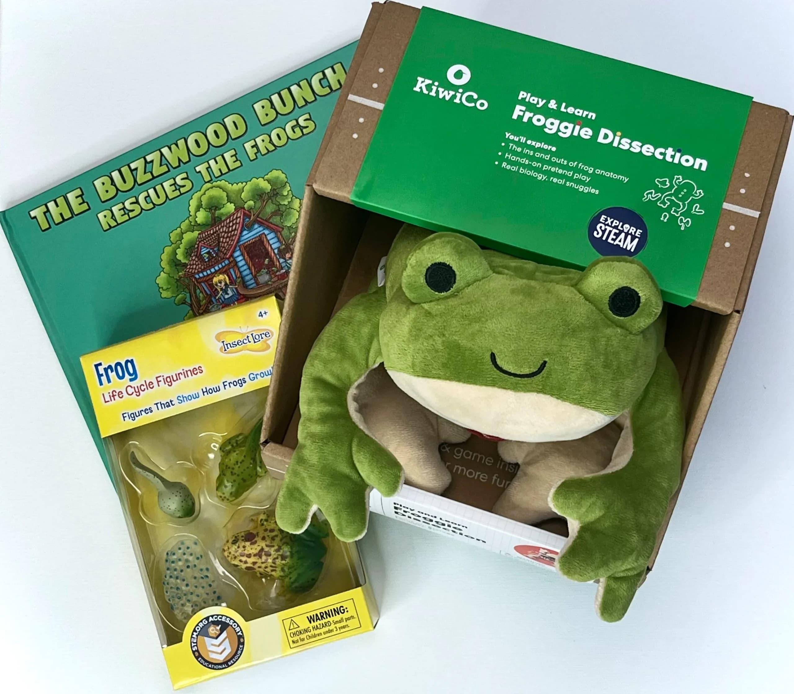 Friendly Frogs Bundle