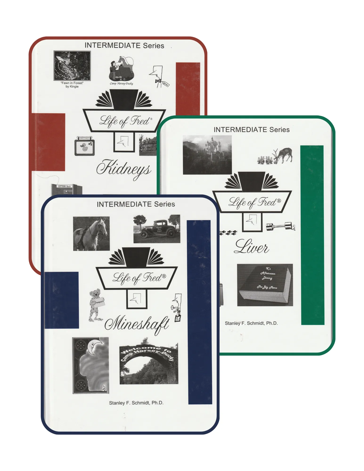 Life of Fred Intermediate Math Set