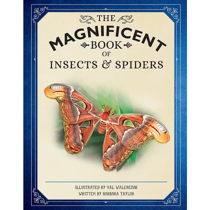 The Magnificent Book of Insects and Spiders