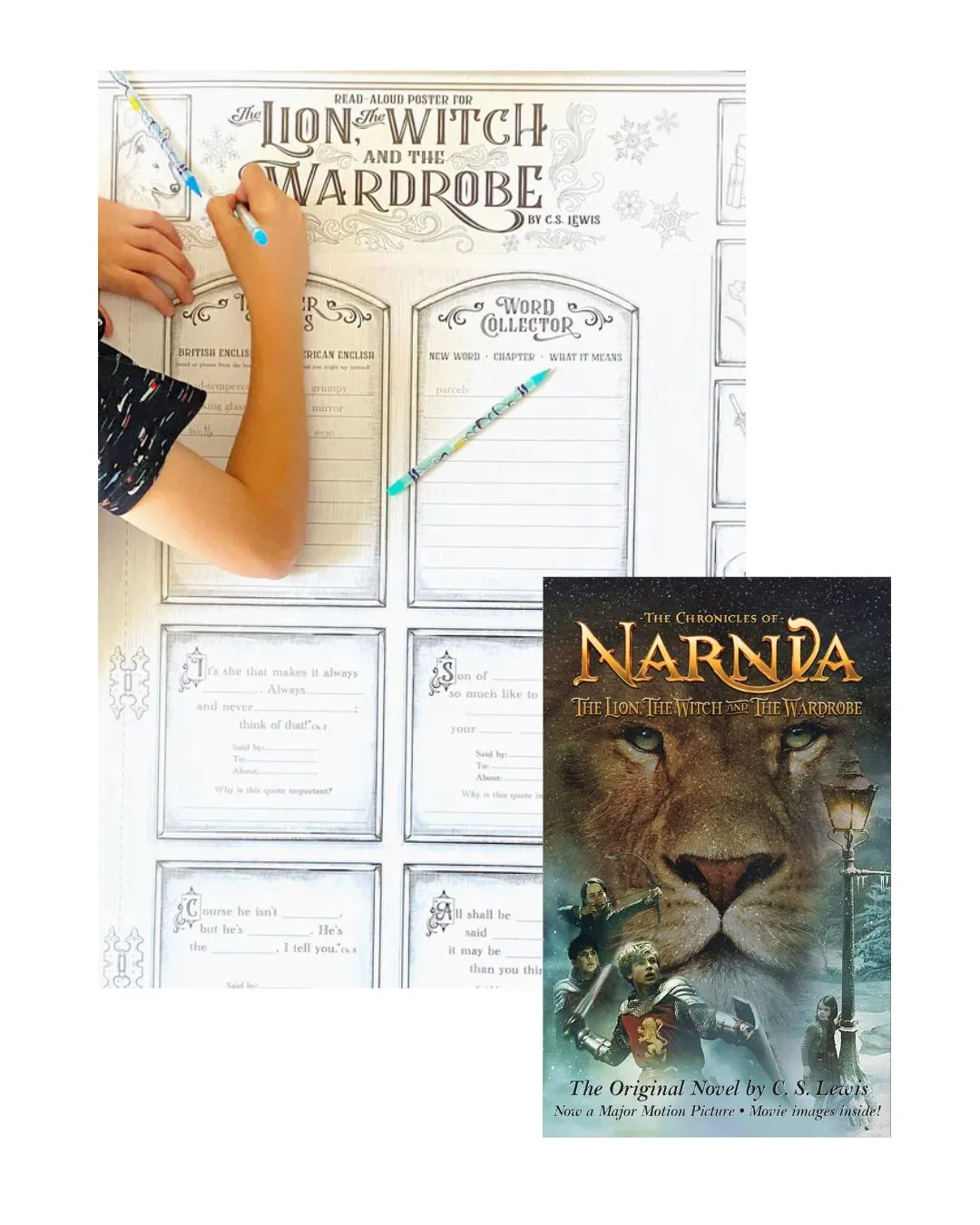 Lion, Witch, & Wardrobe Poster & Book Bundle