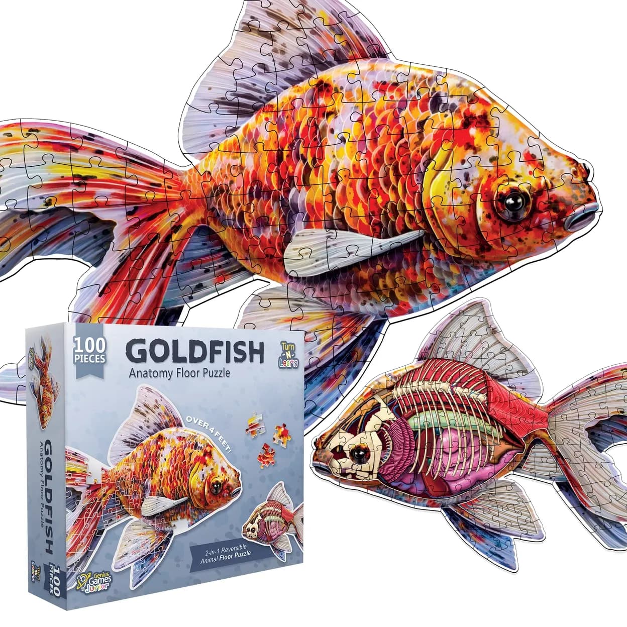Turn N Learn: Goldfish Anatomy 100 PC Puzzle