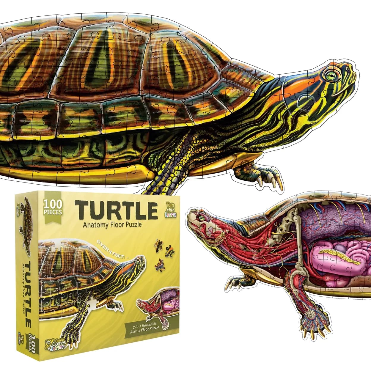 Turn N Learn: Turtle Anatomy 100 PC Puzzle