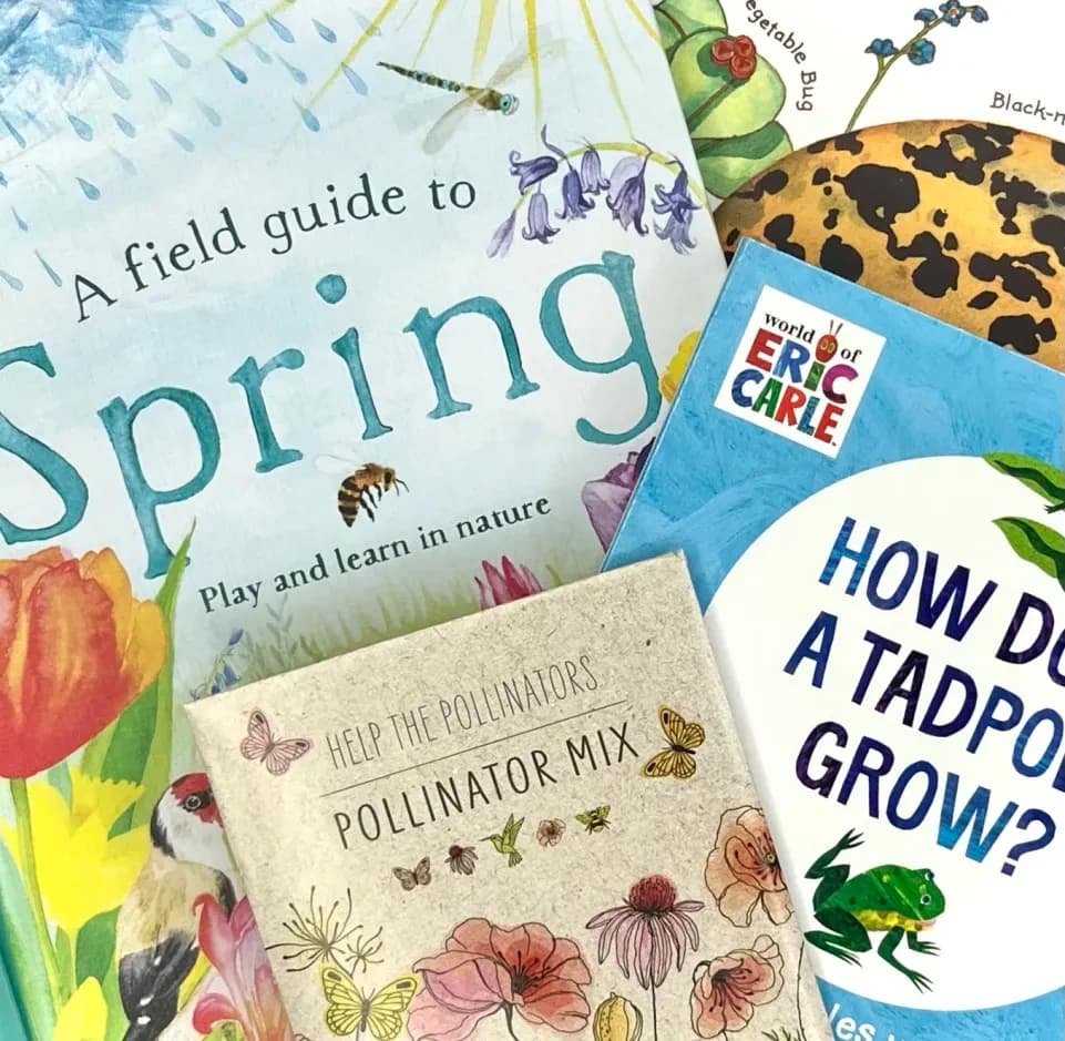 All About Spring