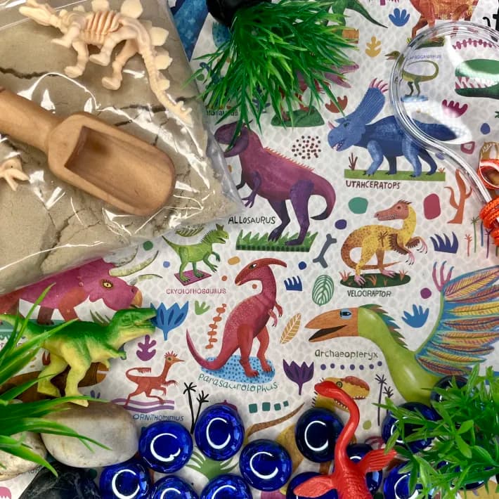 Dinosaur Dig Sensory Bin Gift Pack