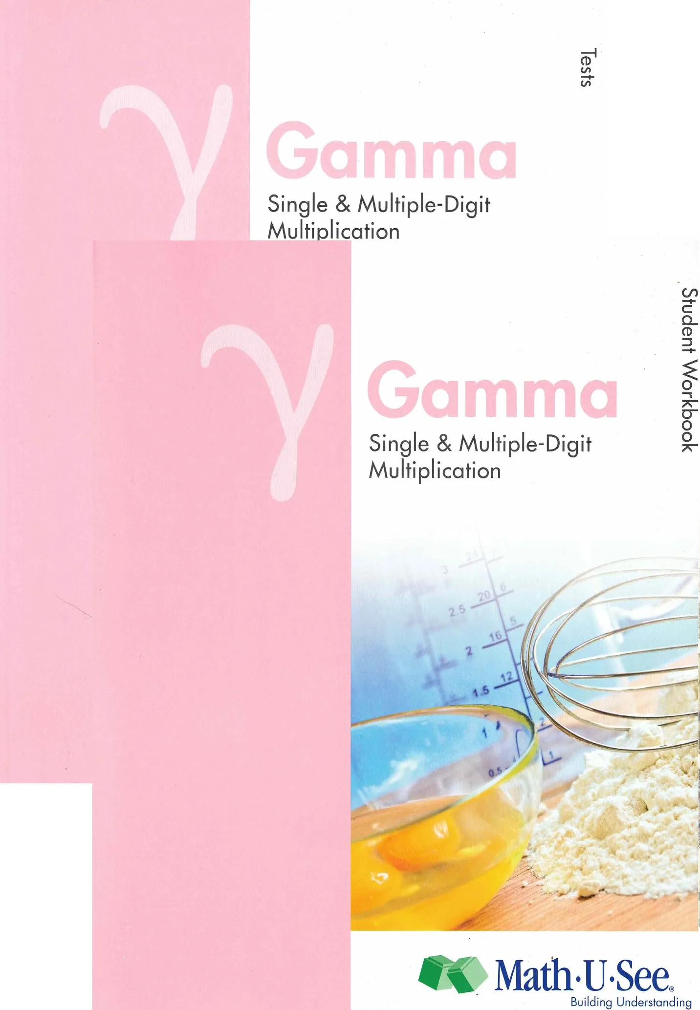 Math-U-See Gamma Student Workbook and Tests