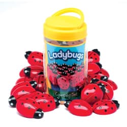 SET COUNTING LADYBUGS 22PC