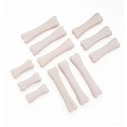 SET DINO BONES DISCOVERY 12PK