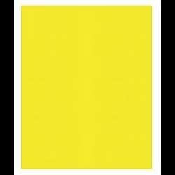 FOLDER 2PK YELLOW 25PK