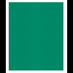 FOLDER 2PK GREEN 25PK